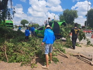 กองสาธารณสุขฯ เทศบาลตำบลตาดทอง ทำความสะอาดปรับปรุงภูมิทัศน์บริเวณถนนแจ้งสนิทและบริเวณหน้าตลาดสดเทศบาลตำบลตาดทอง ตำบลตาดทอง อำเภอเมืองยโสธร จังหวัดยโสธร