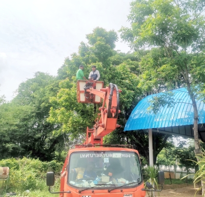 เทศบาลตำบลตาดทอง ลงพื้นที่ดำเนินการตัดต้นไม้ ตัดกิ่งไม้ และทำความสะอาดบริเวณพื้นที่ตำบลตาดทอง อำเภอเมืองยโสธร จังหวัดยโสธร