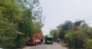 เทศบาลตำบลตาดทอง ดำเนินการตัดตกแต่งกิ่งไม้ริมถนนสาธารณะบริเวณทางเข้าพระธาตุก่องข้าวน้อย