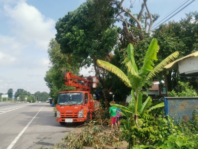 เทศบาลตำบลตาดทอง ลงพื้นที่ดำเนินการตัดต้นไม้ ตัดกิ่งไม้ และทำความสะอาดบริเวณพื้นที่ตำบลตาดทอง